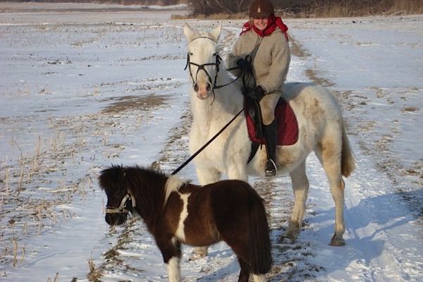 reiten-im-winter