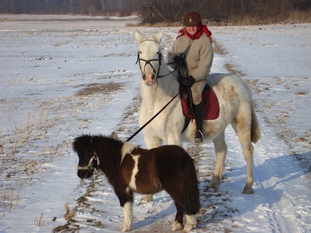 reiten-im-winter